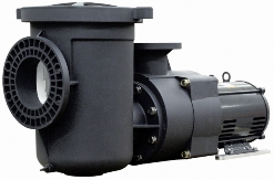 Pentair 340026 EQW300 Waterfall Pump with Strainer Pot 3Hp 1-Phase