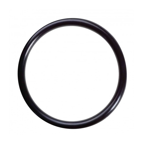 Reliant 65431045080 O-Ring for Lid
