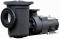 Pentair 340026 EQW300 Waterfall Pump with Strainer Pot 3Hp 1-Phase